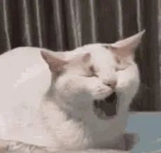 过年掼蛋_gg扑克玩法介绍_掼蛋游戏规则